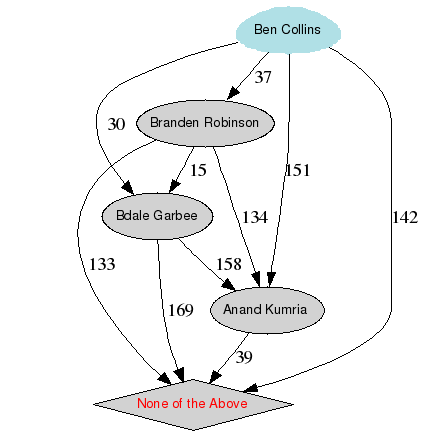 Graphical rendering of the results